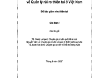 Đánh Giá Năng Lực Thể Chế Về Quản Lý Rủi Ro Thiên Tai Ở Việt Nam – David Lempert