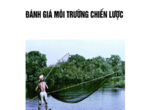 Giáo trình Đánh Giá Môi Trường Chiến Lược