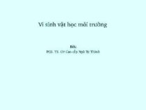 Giáo Trình Vi Sinh Học Môi Trường – Ngô Tự Thành