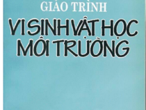Giáo Trình Vi Sinh Vật Học Môi Trường – Trần Cẩm Vân