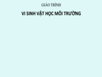 Giáo Trình Vi Sinh Vật Học Môi Trường – Lê Xuân Phương