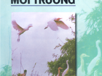 Khoa Học Môi Trường – Lê Văn Khoa