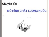 Chuyên đề Mô Hình Chất Lượng Nước – Trần Văn Quang