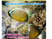 Tạp Chí Môi Trường tháng 9 năm 2010