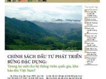 Bản tin Chính Sách Tài Nguyên Môi Trường 6_2012