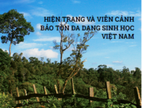 Bản Tin Chính Sách Tài Nguyên Môi Trường 016