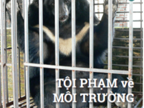 Bản Tin Chính Sách Tài Nguyên Môi Trường 019