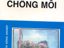 Tài liệu Chống Mối – Nguyễn Chí Thanh