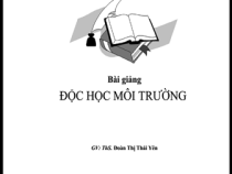 Bài Giảng Độc Học Môi Trường – Đoàn Thị Thái Yên