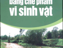 Giáo trình Cải Tạo Môi Trường Bằng Chế Phẩm Vi Sinh Vật – Chu Thị Thơm