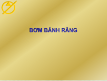 Bơm bánh răng