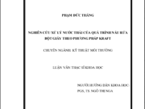 NGHIÊN CỨU XỬ LÝ NƯỚC THẢI CỦA QUÁ TRÌNH NẤU RỬA BỘT GIẤY THEO PHƯƠNG PHÁP KRAFT
