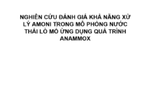 NGHIÊN CỨU ĐÁNH GIÁ KHẢ NĂNG XỬ LÝ AMONI TRONG MÔ PHỎNG NƯỚC THẢI LÒ MỔ ỨNG DỤNG QUÁ TRÌNH ANAMMOX