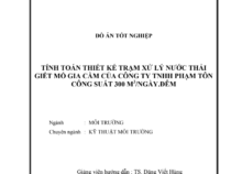 TÍNH TOÁN THIẾT KẾ TRẠM XỬ LÝ NƯỚC THẢI GIẾT MỔ GIA CẦM CỦA CÔNG TY TNHH PHẠM TÔN CÔNG SUẤT 300 M3/NGÀY.ĐÊM