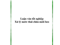 Luận văn tốt nghiệp Xử lý nước thải chăn nuôi heo