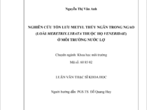 NGHIÊN CỨU TỒN LƯU METYL THỦY NGÂN TRONG NGAO  (LOÀI MERETRIX LYRATA THUỘC HỌ VENERIDAE)  Ở MÔI TRƯỜNG NƯỚC LỢ