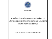 NGHIÊN CỨU CHẾ TẠO THAN BIẾN TÍNH TỪ LÕI NGÔ ĐỊNH HƯỚNG ỨNG DỤNG XỬ LÝ AMONI TRONG NƯỚC SINH HOẠT – VŨ THỊ MAI