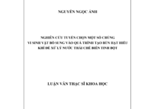 NGHIÊN CỨU TUYỂN CHỌN MỘT SỐ CHỦNG VI SINH VẬT BỔ SUNG VÀO QUÁ TRÌNH TẠO BÙN HẠT HIẾU KHÍ ĐỂ XỬ LÝ NƯỚC THẢI CHẾ BIẾN TINH BỘT