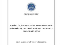 NGHIÊN CỨU, ỨNG DỤNG XỬ LÝ AMONI TRONG NƯỚC NGẦM TRÊN HỆ THIẾT BỊ SỬ DỤNG VẬT LIỆU MANG VI SINH CHUYỂN ĐỘNG – TRỊNH XUÂN ĐỨC