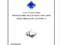 LUẬN VĂN TỐT NGHIỆP ĐÁNH GIÁ HIỆU QUẢ SỬ DỤNG CHẤT THẢI HẦM Ủ BIOGAS LÊN AO NUÔI CÁ