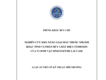 NGHIÊN CỨU KHẢ NĂNG LOẠI MÀU THUỐC NHUỘM HOẠT TÍNH VÀ PHÂN HỦY CHẤT DIỆT CỎ/DIOXIN CỦA VI SINH VẬT SINH ENZYME LACCASE – PHÙNG KHẮC HUY CHÚ