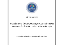 NGHIÊN CỨU ỨNG DỤNG THỰC VẬT THỦY SINH TRONG XỬ LÝ NƯỚC THẢI CHĂN NUÔI LỢN – VŨ THỊ NGUYỆT