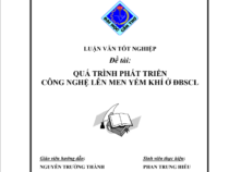 QUÁ TRÌNH PHÁT TRIỂN CÔNG NGHỆ LÊN MEN YẾM KHÍ Ở ĐBSCL