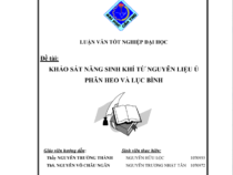 Đề tài: KHẢO SÁT KHẢ NĂNG SINH KHÍ TỪ NGUYÊN LIỆU Ủ PHÂN HEO VÀ LỤC BÌNH
